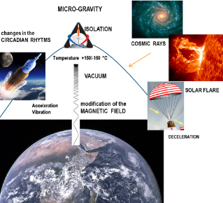 Le sfide biomediche associate al programma spaziale Artemis