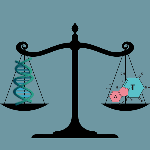 Il metodo della scienza nelle decisioni pubbliche
