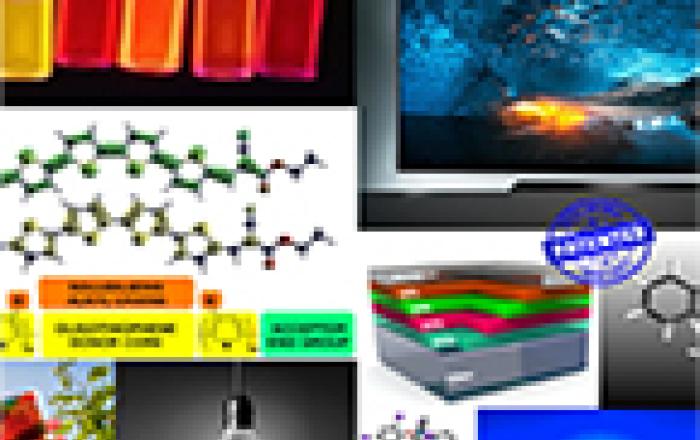 INgegneria INcontra - Elettronica Organica: dalle sintesi alle applicazioni