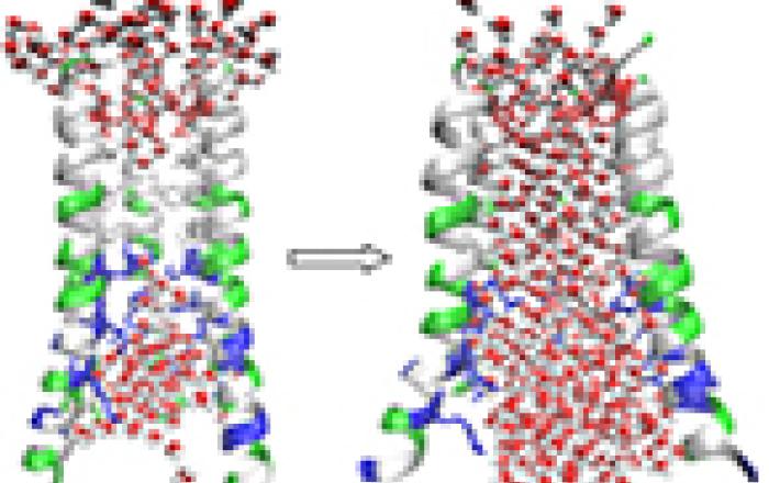 Nanobiomimetica: imparare dalla natura a manovrare singole molecole, 14 ottobre 2021 ore 19.00-20.00