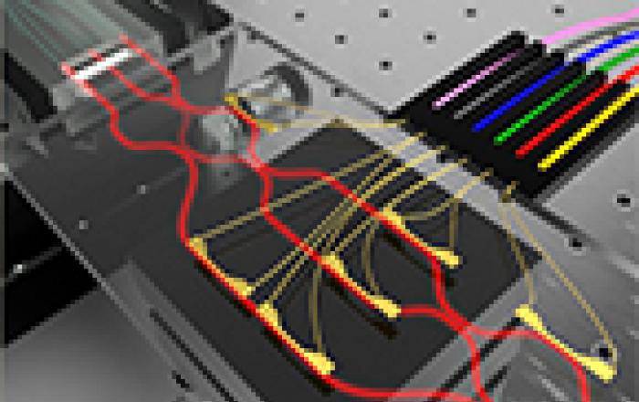 La seconda rivoluzione quantistica: dal computer alle comunicazioni