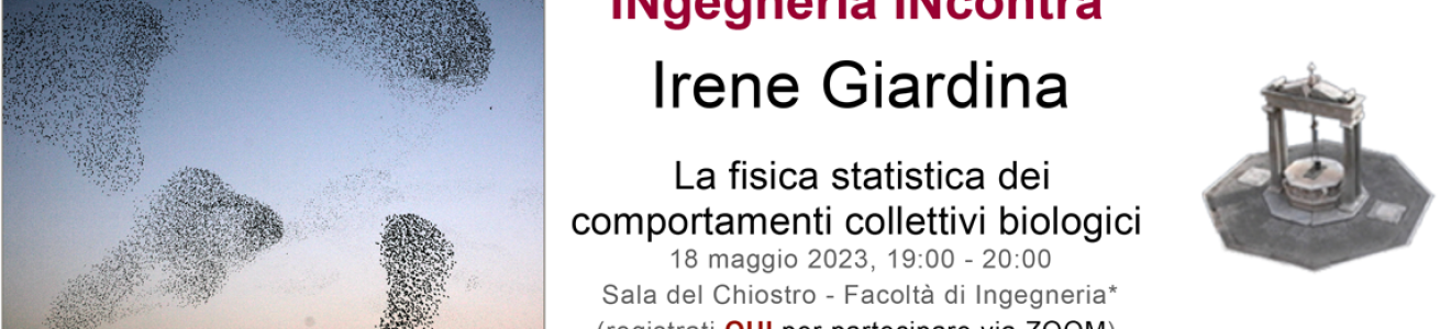 La fisica statistica dei comportamenti collettivi biologici