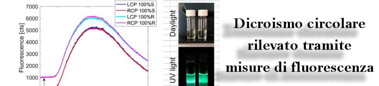 Dicroismo circolare rilevato tramite misure di fluorescenza: una tecnica particolarmente sensibile per apprezzare deboli livelli di chiralità. Dicroismo circolare rilevato tramite misure di fluorescenza: una tecnica particolarmente sensibile per apprezzare deboli livelli di chiralità.
