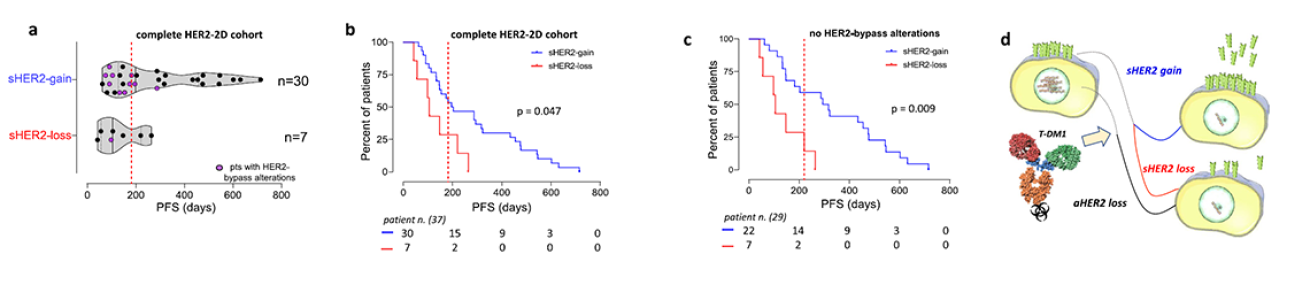 Monitoraggio delle variazioni nei pattern di dipendenza da HER2 mediante biopsia liquida nei pazienti con carcinoma mammario avanzato