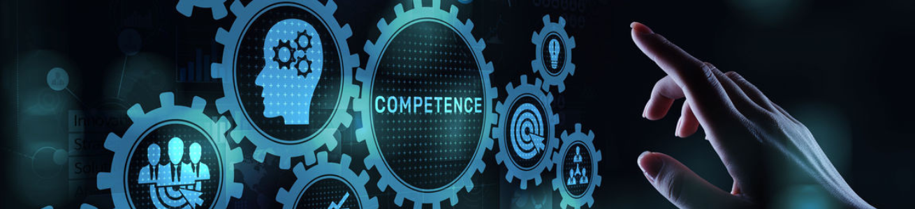 TEst sulle COmpetenze (TECO)